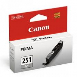 Canon CLI-251GY (Gris) Originale  PIXMA MG6320 WHITE