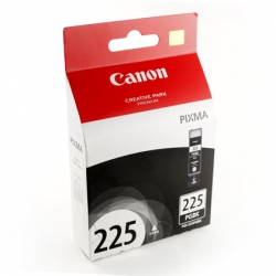 Canon PGI-225BK (Noir) Originale  CANON PIXMA IP4820